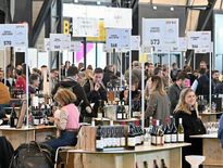 1500 producteurs et près de 10 000 acheteurs professionnels ont rendez-vous pendant trois jours sur Millésime Bio.