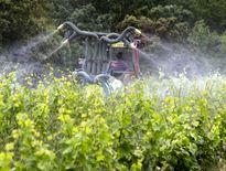 Les traitements phyto, pas toujours appliqués dans le respect des règles.