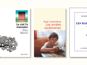 Cinq livres ont été présélectionnés et seront soumis au jury du sixième Prix Habiter le monde.